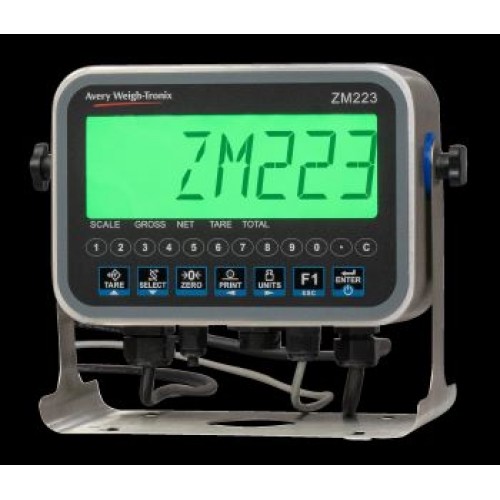 Avery Weigh-Tronix ZM223 Weigh Indicator