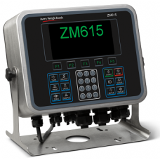 Avery Weigh-Tronix ZM615 Programmable Indicator