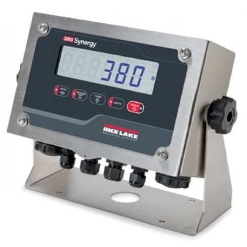 Rice Lake 380 Synergy Series Weight Indicator
