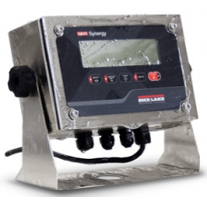 Rice Lake 380X Synergy Series Washdown Weight Indicator