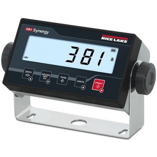 Rice Lake 381 Synergy Series Digital Weight Indicator