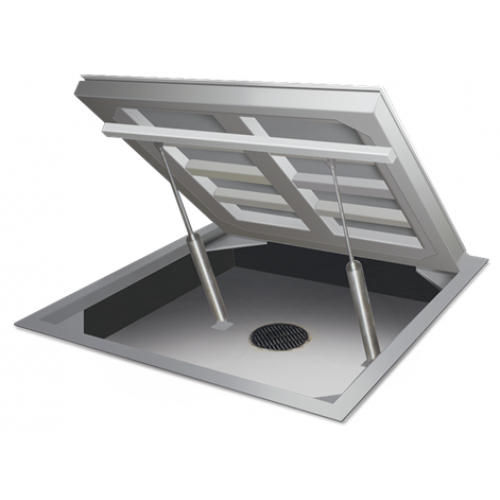 Rice Lake AutoLift HE Hostile Environment Floor Scale