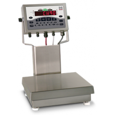 Rice Lake CW-90 Over/Under Checkweigher