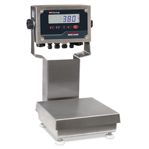 Rice Lake Ready-n-Weigh Bench Scale System