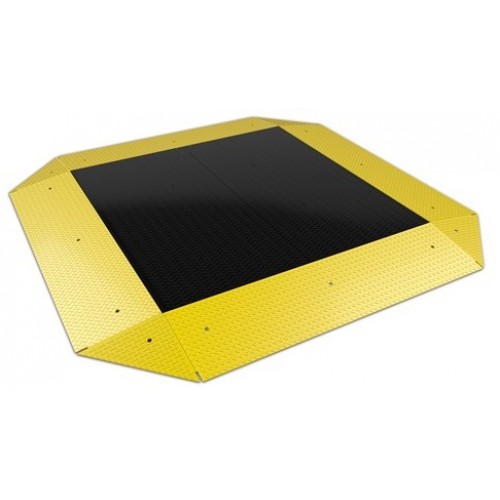 Rice Lake RoughDeck® PC Pancake Cargo Scale