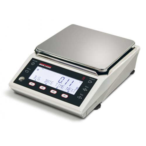Rice Lake TE Series Balance